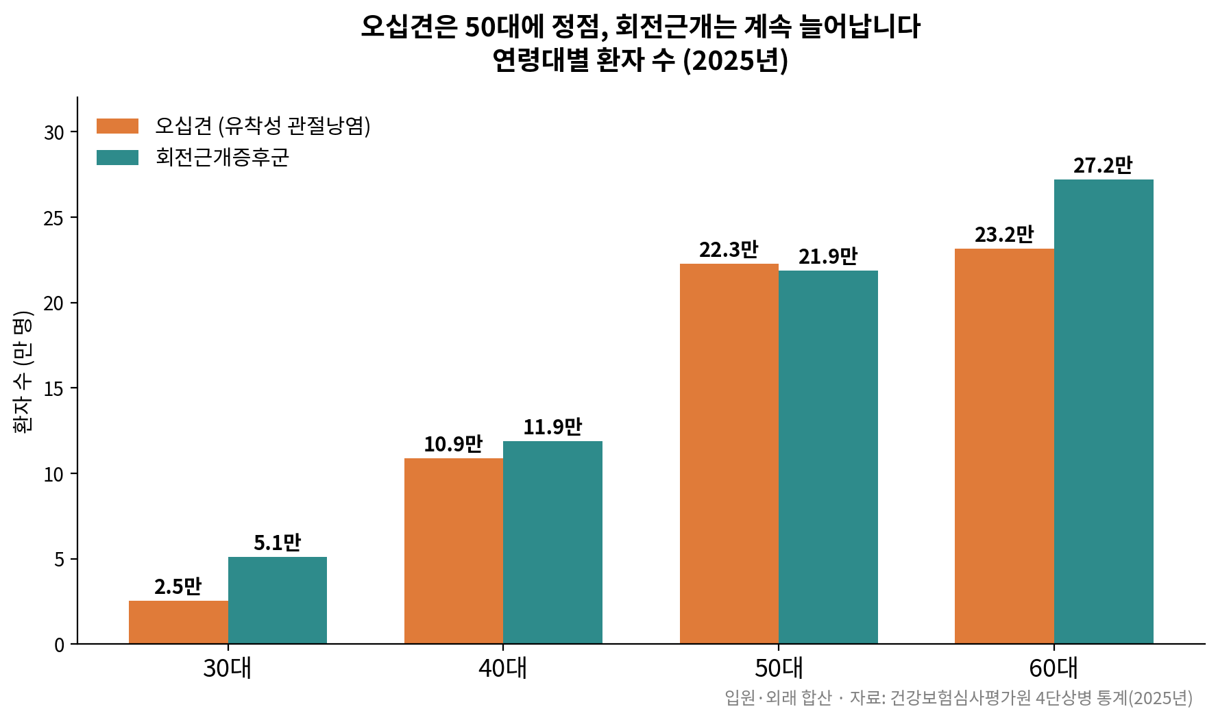연령대별 어깨 질환 환자 수